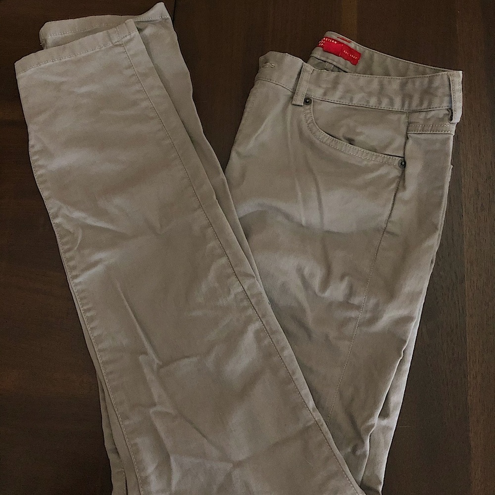 EASTERN MOUNTAIN SPORTS Light Gray Hiking Pants